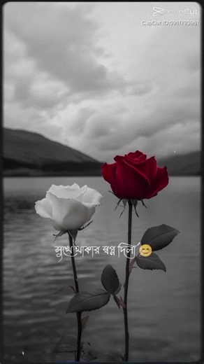 naureen Islam (@naureen.islam1)’s videos with original sound - naureen Islam