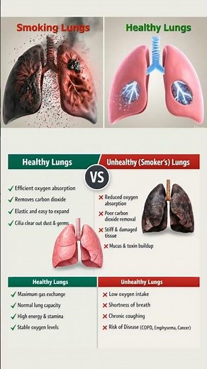 Healthy Lungs vs Smoker’s Lungs | What Smoking Does to Lungs#LungHealth#HealthyLungs#SmokersLungs