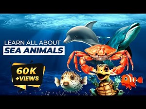 Learn Sea Animal Names | Animals of the World | Fun Facts about Sea Animals | Kids Learning Animals