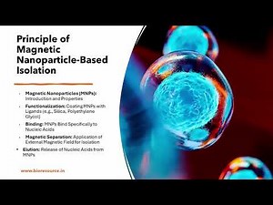 Magnetic Nanoparticle-Based Nucleic Acid Isolation Technique, Understanding Principle & Applications