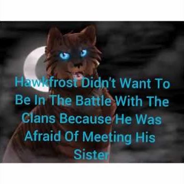 Warrior Cats Facts #3