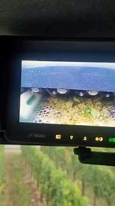 10K views · 70 reactions | High tech grapes harvest machine #thewinearound | Thewine Around | Facebook