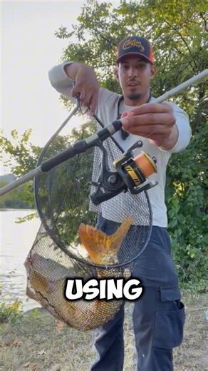 2K views · 36 reactions | Check out what Logan caught using our Catfish Pro Fishing for Fun Spinning Reel! Get your new reel today at catfishpro.com! | Catfish PRO | Facebook