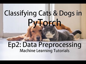 EP2: Data preprocessing | Classifying cats and dogs with pytorch | SVTech machine learning tutorials