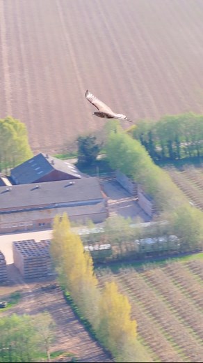 11K views · 132 reactions | Unbelievable encounter today! 朗 This...