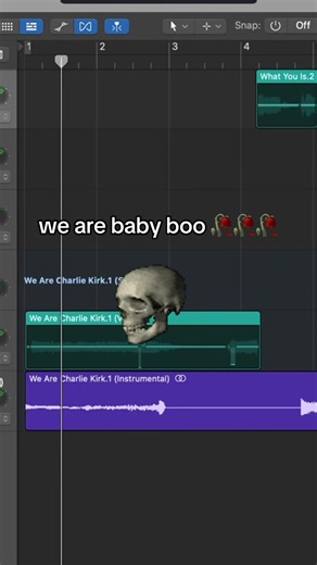 Exploring the Diverse World of Baby Boo Remixes