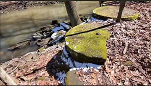 13K views · 113 reactions | Thank you to all who came out to the...