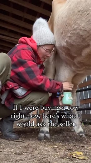 4.1K views · 32 reactions | Disclaimer - besides the obvious does she...