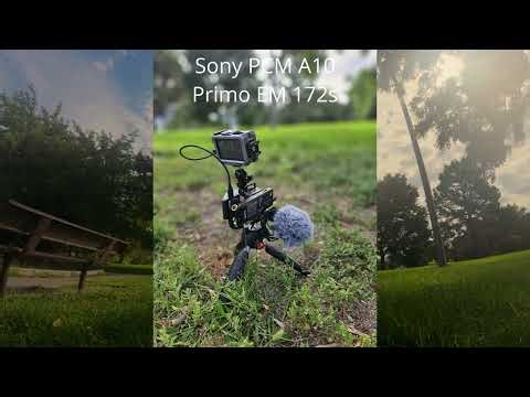 Field Recording/ Sony PCM A10/ Soundscapes