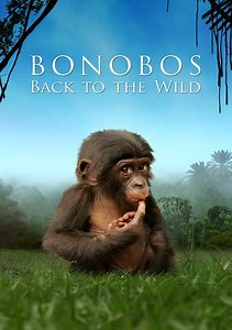 Bonobos: Back to the Wild Trailer