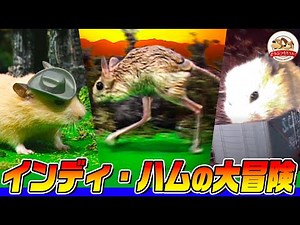 【ハムスターSF】インディ・ハムの大冒険～空飛ぶネズミ爆誕！【どうぶつ奇想天外／WAKUWAKU】