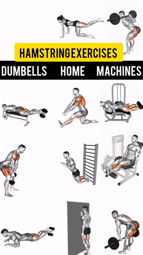 𝗔𝗭𝗥𝗔 𝗤𝗔𝗗𝗜𝗥 | 𝗙𝗜𝗧𝗡𝗘𝗦𝗦 𝗧𝗥𝗔𝗜𝗡𝗘𝗥 on Instagram: "Dumbells/machines/home hamstring exercises"