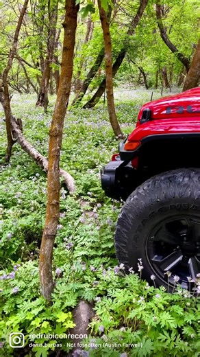 Exploring the Red Rubicon Recon: Jeep Wrangler Mopar