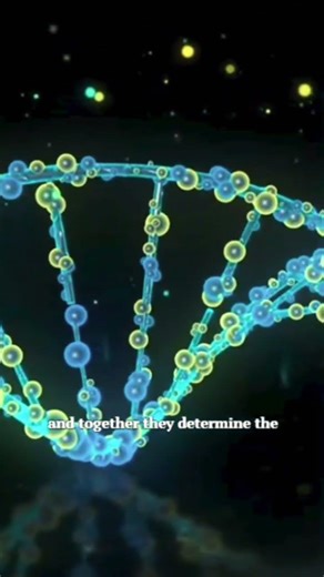 The Code That Defines YOU 🧬✨