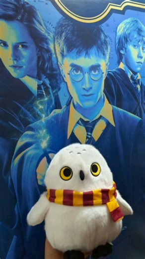 MINISO x Harry Potter ✨ | Magical Collection in Kolkata! #harrypotter #miniso #kolkata