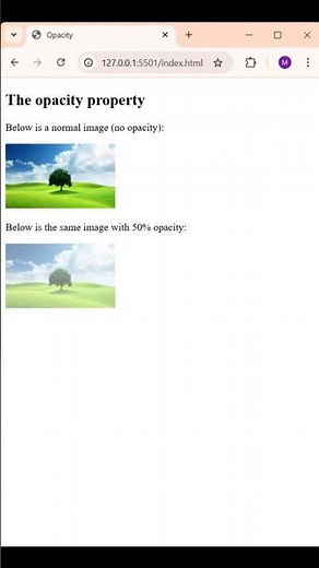Opacity Property In HTML and CSS