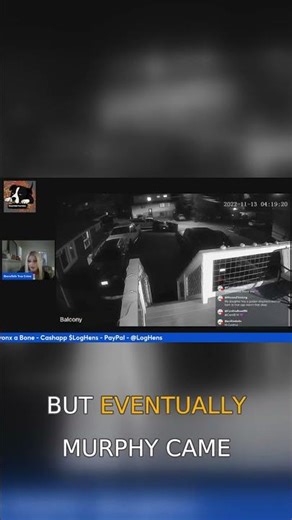 ZOOMIES🐾WHO LET MURPHY IN #bryankohberger #truecrimecommunity #id4