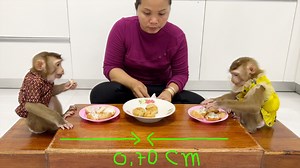 107K views · 3.2K reactions | Cleaver Mom Let Sara , Harry Sit Separate Each Other To Stop Them Quarrel | Monkey Daily | Facebook