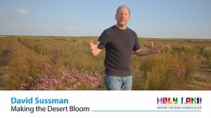 24 reactions | Believe it or not -- In Israel, even the desert is blooming! Want to know how we turn our Negev Desert into a colorful flower field? Find out by watching the video below >> | Holy Land Pilgrimage | Facebook