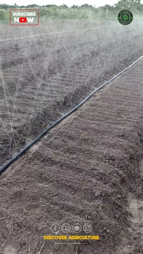 39K views · 923 reactions | Upgrade your farming and gardening game...