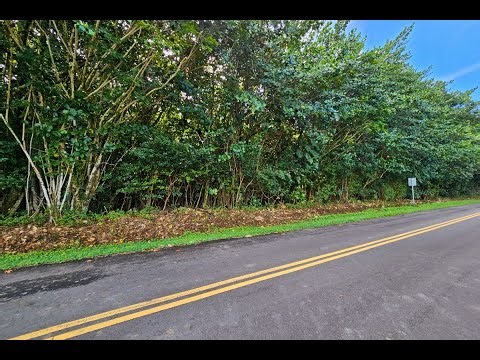 PUNA PKWY | Pahoa Real Estate