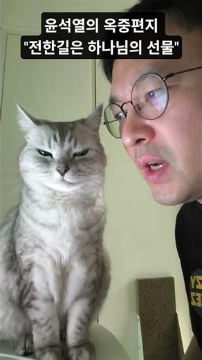 They're all funny #shorts