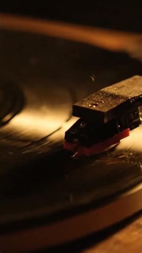 A Cozy Evening with Vinyl ASMR 🎶