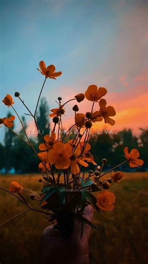 Jeena humko aata hi nahi || lo maan liya #sadsongstatus #aesthetic 👀🖤🥰