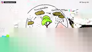 Water cycle Drawing easy | AP Drawing
