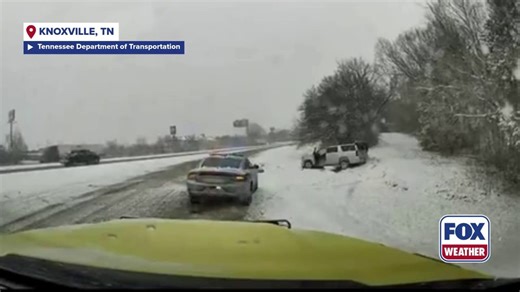 Missing dog rescued by Tennessee Department of Transportation employee during a winter storm
