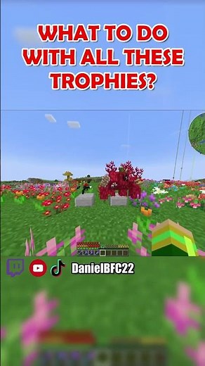 What To Do With All These Trophies?