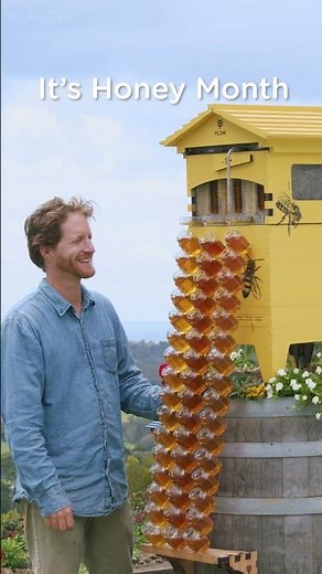 It’s National Honey Month in the USA! 🐝 💛 🍯