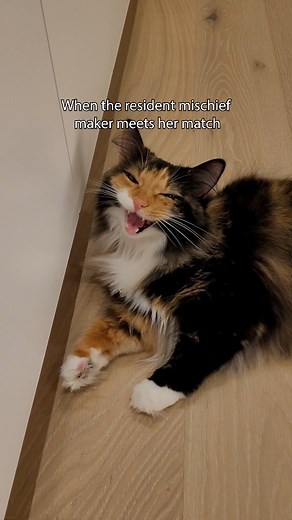 48K views · 3.5K reactions | Well guys, it happened. I actually found...