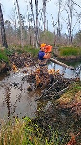 Weakling! 🤣 || Beaver Dam Removal! #beaverdamremoval #beaverdam #gatorcreek #damremoval #beavers #dam #drain #draining #water #unclogging #terrellspivey #fypシ゚ #foryoupageシ #foryou #viralreels #viralvideo #viralFBvideo #FBVIDEO #viralfbreels #reelsviralfb #fbreelsfypシ゚viral #fb #viralfb | Terrell Spivey