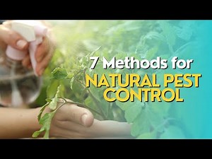 Top 7 Methods for Natural Pest Control