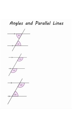 Understanding Angles and Parallel Lines in Mathematics
