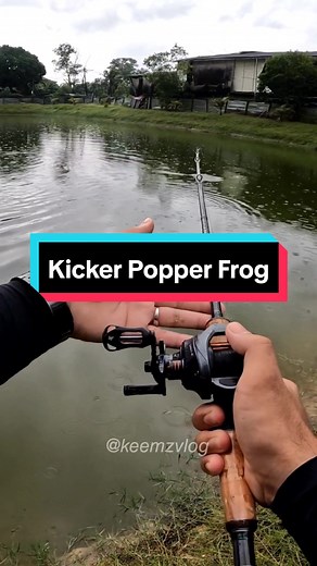 Topwater Soft Frog Fishing: Kicker Popper Frog and Casting Techniques