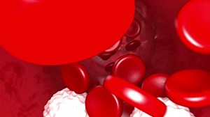 Blood Flow Animation 1080p Stock Motion Graphics SBV-315380598 - Storyblocks