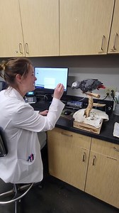 2.1K views · 165 reactions | Avian/Exotic Veterinarians: "OMG! I've been working all day and STILL have all these records I need to write before I can go home!" Also Avian/Exotic Veterinarians: | Avian and Exotic Animal Care | Facebook