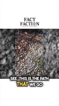 The Chilling Secret Video That Caught a Killer