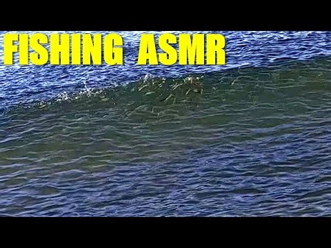 Surf Fishing Sounds To Fall Asleep To