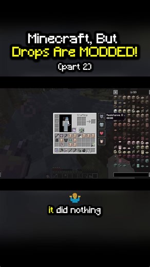 Minecraft: Randomly MODDED Drops - Part 2