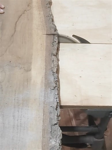 Neues Projekt, die Eiche erst mal auf Maß sägen. #woodwork #geschenkidee #holz #diy #schneidebrett #handarbeit #darkroom_woods #bbq #kochen