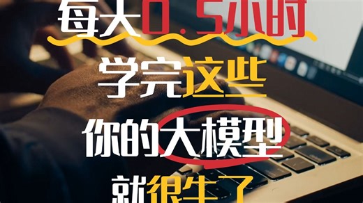 每天0.5小时，大模型自学从0到大神！彻底吃透原理 项目实操，附各种项目实战代码，菜鸡也能上手！