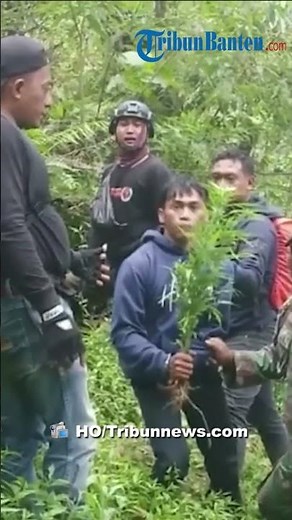 TNBTS Clarification on Marijuana Plantations in Bromo Linked to Drone Ban and Guide Requirement