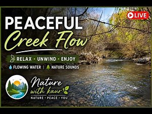 Peaceful Creek Flow 🌿 | Relaxing Nature Sounds & Scenic Stream View