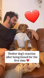 124K views · 12K reactions | SEE HOW A GRATEFUL SOUL SHOWS LOVE TO...