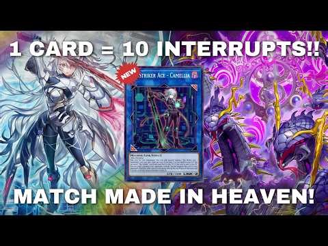 THIS IS THE BEST WAY TO PLAY SKY STRIKER!! Sky Striker Mitsurugi Deck POST New Support!