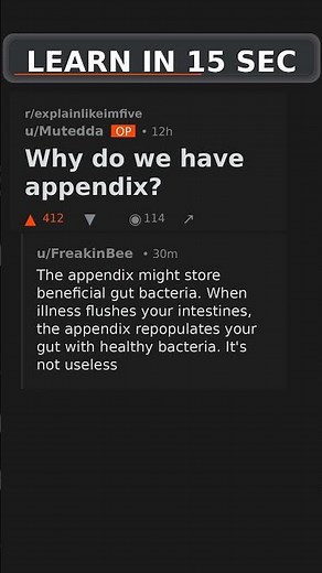 Why do we have appendix? #science