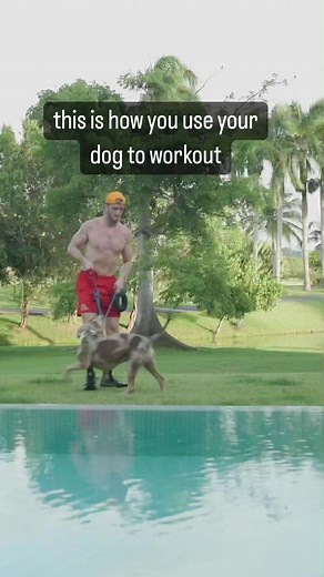 bad sound but there goes my reproducers 👋🏼 | Logan Paul